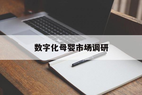 四平市数字化母婴市场调研(数字化母婴市场调研报告)