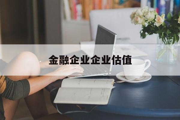 四平市金融企业企业估值(最新企业估值怎么填)